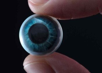 gia-kinh-ap-trong-nhin-xuyen-bai-2602