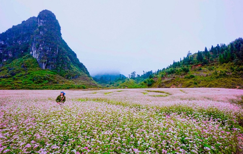 Hát Chèo Du Xuân