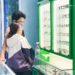 Lịch nghỉ tết âm lịch 2025