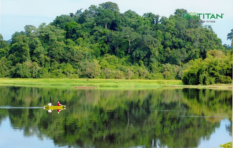 Mắt kính BUTITAN