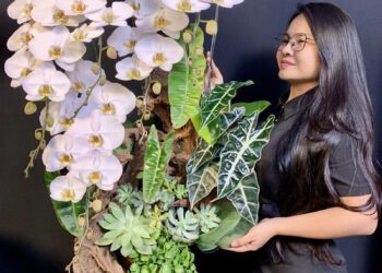 Cận 1 5 độ nhìn được bao xa