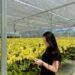 Nhức mắt là dấu hiệu của bệnh gì