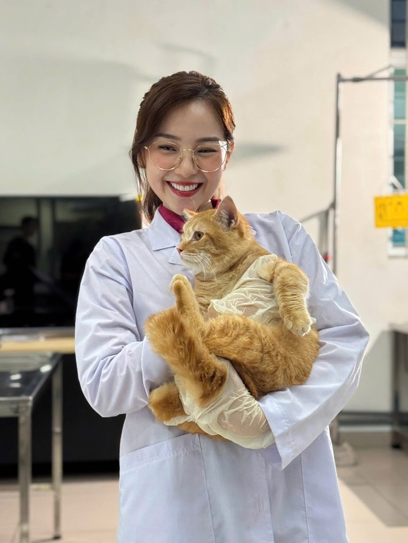 Phùng Huy Hòa BNI
