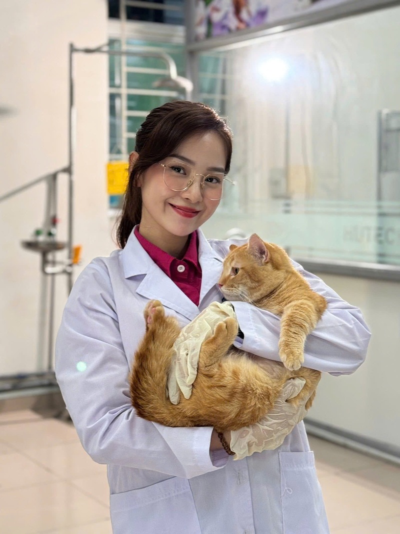 Chỉ số khúc xạ là gì