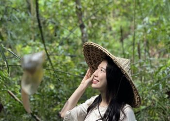 Cách để hết loạn thị