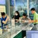 Cận thị bẩm sinh là do