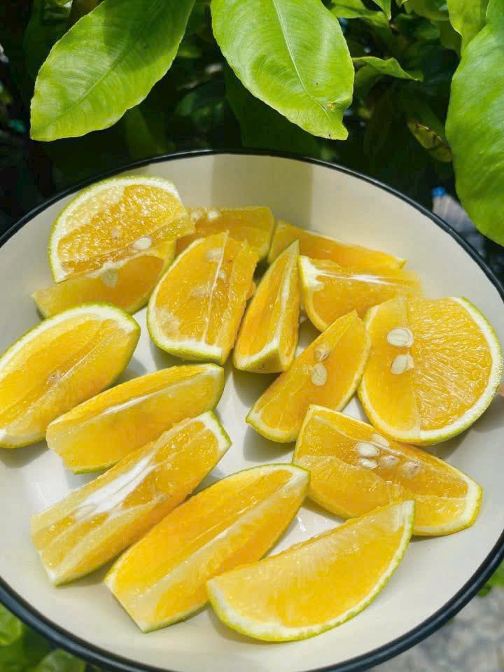 Mắt kính BUTITAN