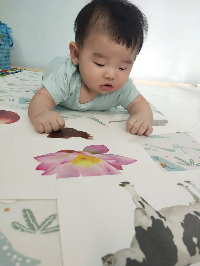 Thị giác trẻ sơ sinh