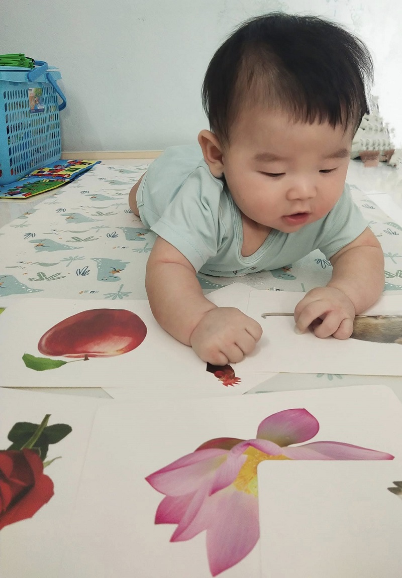 Phùng Huy Hòa BUTITAN