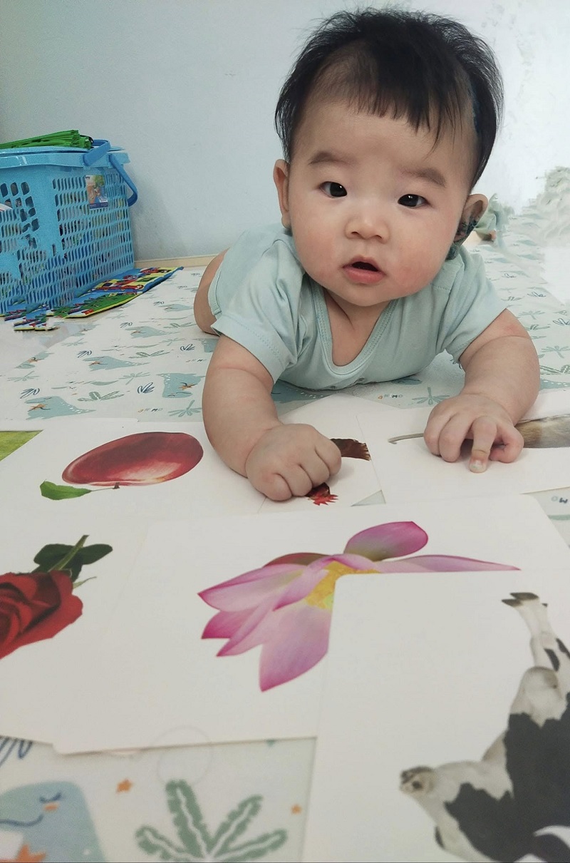 Mắt kính BUTITAN